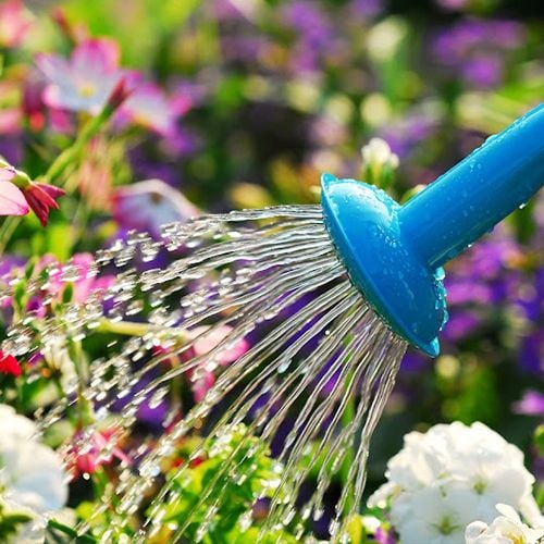 AGROŻEL Hydrożel Ogrodniczy do Roślin 2 Kg na Arena.pl