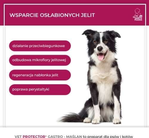 VET PROTECTOR GASTRO – MAŚLAN 60 ml na Arena.pl