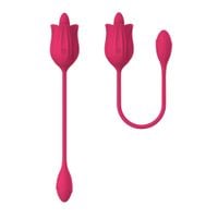 stymulator   licking massager with vibrating egg usb 10 functions
