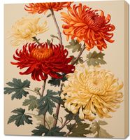 product-compare-59465562