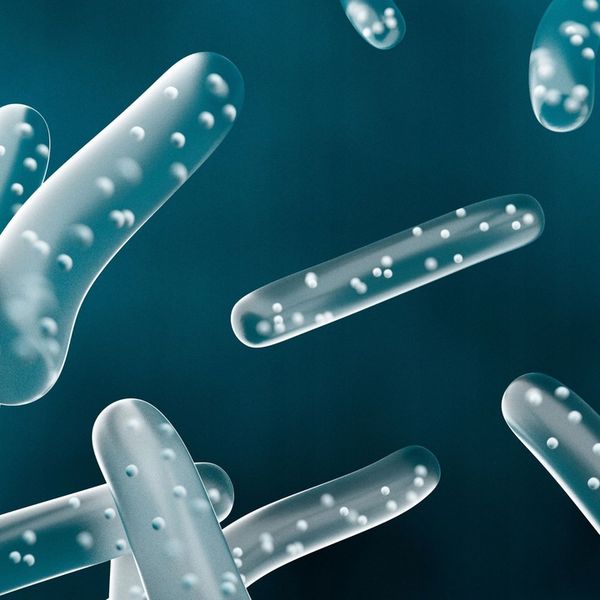 SANPROBI Barrier probiotyk 40 kapsułek zdjęcie 6