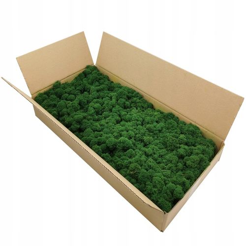 Mech chrobotek dekoracyjny 3 KOLORY na Arena.pl