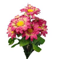 Bukiecik stokrotka różowo zielony