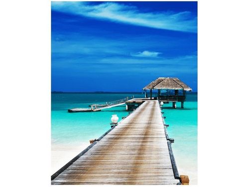 40X50CM DOMEK TROPIKACH OBRAZ na Arena.pl