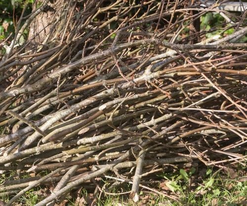 ROZDRABNIACZ GŁADKOLUFOWY ELEKTRYCZNY SAMOZASYSAJĄCY TURBO RĘBAK DO na Arena.pl