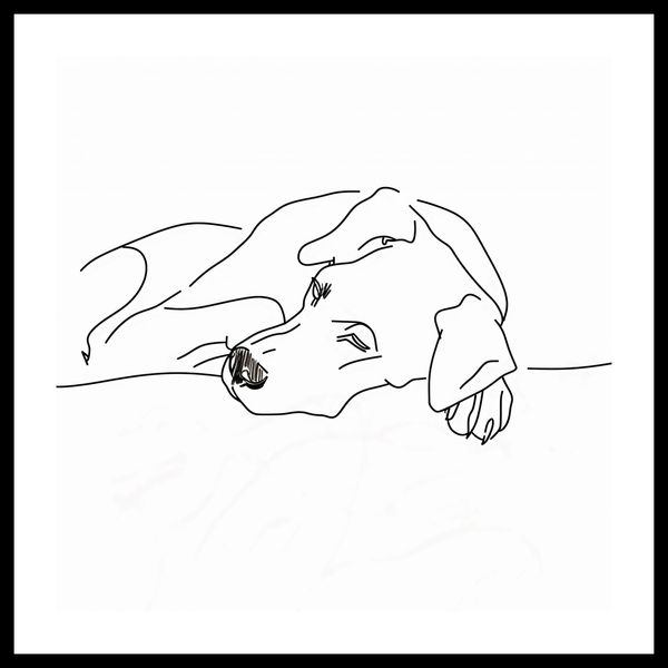 Plakat 40x40cm Wypoczynek Psiaka zdjęcie 3