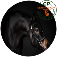 Opłatek na tort Konie