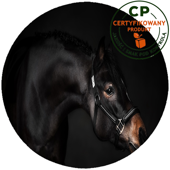 Opłatek na tort Konie zdjęcie 1