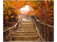 60X50CM JESIENNY SPACER OBRAZ ŚCIAN DREWNIANE