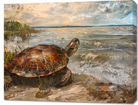 product-compare-59510371