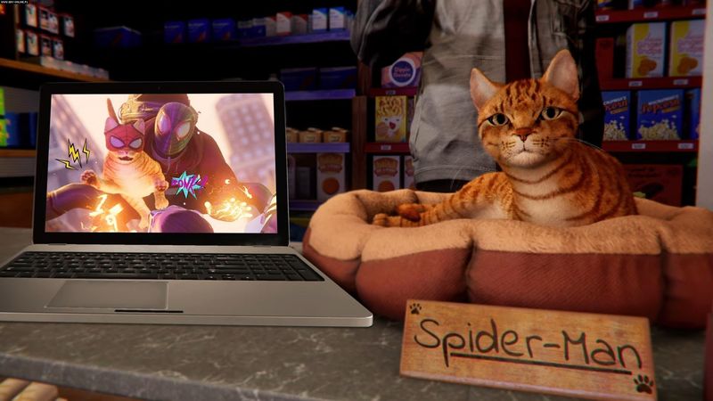 Gra PS5 Marvel's Spider-Man: Miles Morales zdjęcie 13