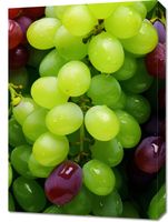 Obraz 50x70cm Winogronowy Kalejdoskop