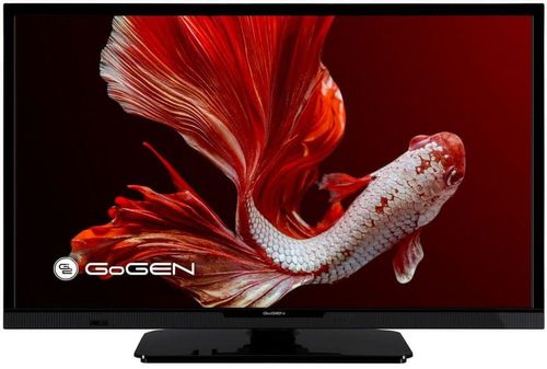 Telewizor LED 24'' HD Ready USB HDMI DVB-T2 CI na Arena.pl