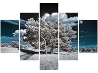 70 100CM OBRAZ 5 ELEM SILNE DRZEWA DRUK PŁÓTNO