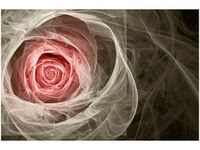 120CM 80CM OBRAZ ŚCIENNY RÓŻA KTALNA KORAL