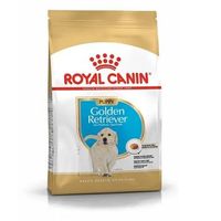 Royal Canin Puppy Golden Retriever 12 kg
