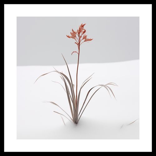 Plakat 30x30cm Subtelność Natury na Arena.pl