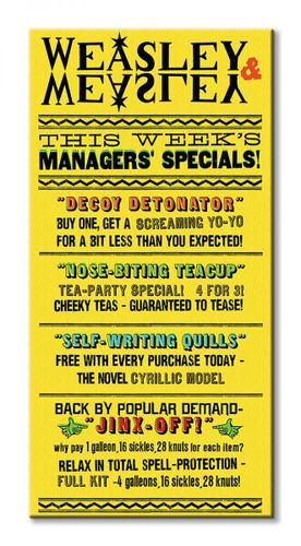 Harry Potter (Weasley na Arena.pl