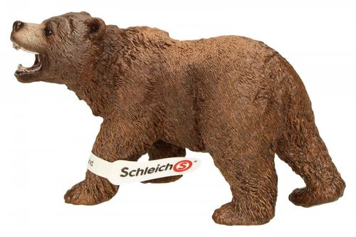 Niedzwiedź Grizzly na Arena.pl