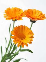 product-compare-59392106