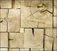 Tło do fotografii produktowej kulinarnej Flat Lay