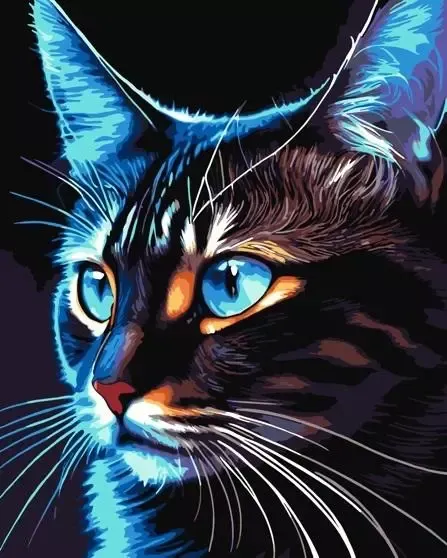 Malowanie po numerach. Cosmo-cat, 40x50 cm zdjęcie 1