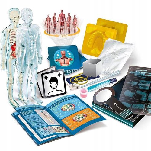 Super Anatomia. Naukowa zabawa na Arena.pl
