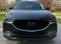 CHROME FOG BUMPER GRILLE TRIM- LIstwy chrom grill chromowan