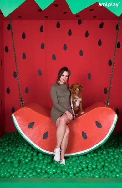 amiplay Szelki regulowane Guard BeHappy S Watermel zdjęcie 7