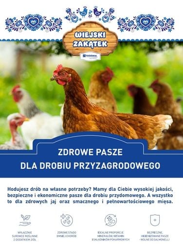 Pasza kura nioska TASOMIX Sypka 25 kg karma dla niosek WIEJSKI ZAKĄTEK na Arena.pl