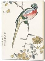 Obraz 70x100cm Macaw, Kashu Japoński Vintage do Salonu