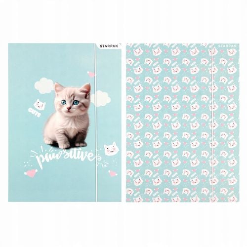 Teczka Z Gumka Pap A4 Kitty Stk Fol10 100 na Arena.pl