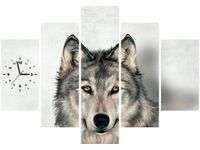 product-compare-58640288