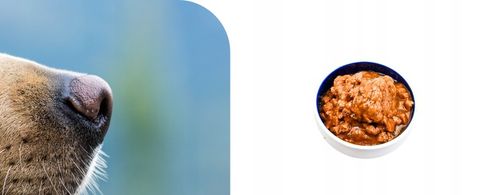 Karma mokra dla psa Puszka Duży Pakiet Mieszany Mix smaków 20 szt x 400g na Arena.pl