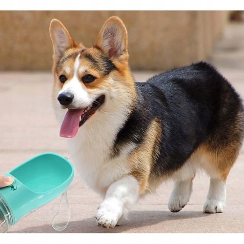 BUTELKA TURYSTYCZNA DLA PSA NA SPACER POIDŁO PRZENOŚNA MISKA NA WODĘ 380ML na Arena.pl