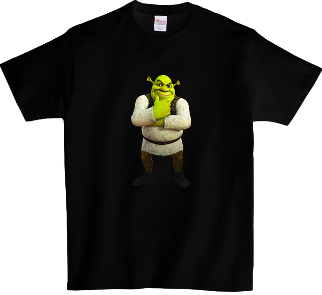 Koszulka T-shirt Shrek zdjęcie 1