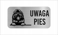 GRAWER Tabliczka nierdzewna laminat 20x10 cm UWAGA PIES newfoundland