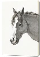 Obraz 60x90cm Głowa Konia, Jean Bernard Vintage do Salonu