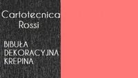 bibuła krepina 50x250cm 180gr 601 łososiowa 0106