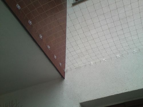 ZACZEPY DO SIATKA NA BALKON DLA KOTA 80 SZT + KLEJ DO KAŻDEGO RODZ. SIATEK na Arena.pl