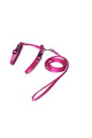 A-058 KOMPLET DLA KOTA V.1 Kolor - Różowy