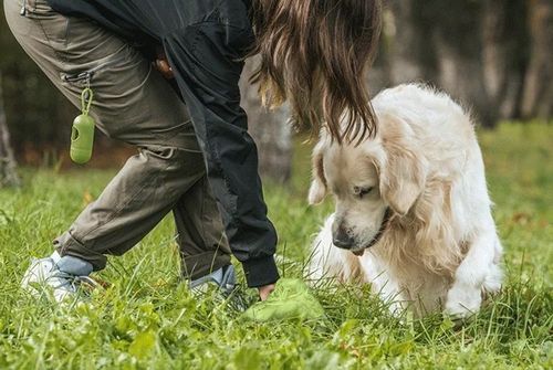 Woreczki bio na psie odchody GIZMO 400 sztuk na Arena.pl