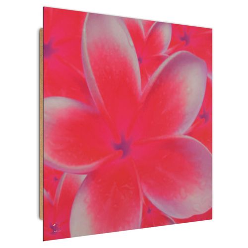 Deco Panel, Kwiat plumerii 2 30x30 na Arena.pl
