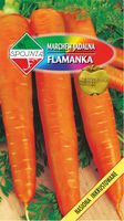 NASIONA Marchew Jadalna Flamanka 5g SPÓJNIA 400168