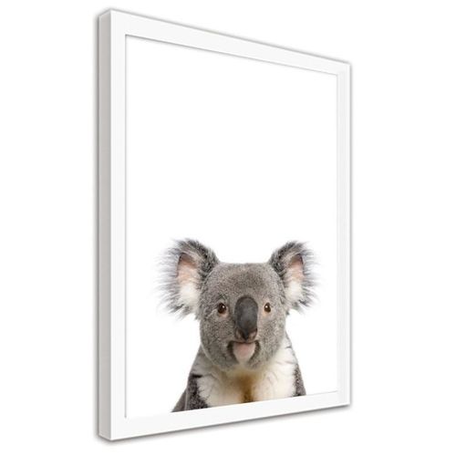 Obraz w ramie białej, Koala 30x40 na Arena.pl