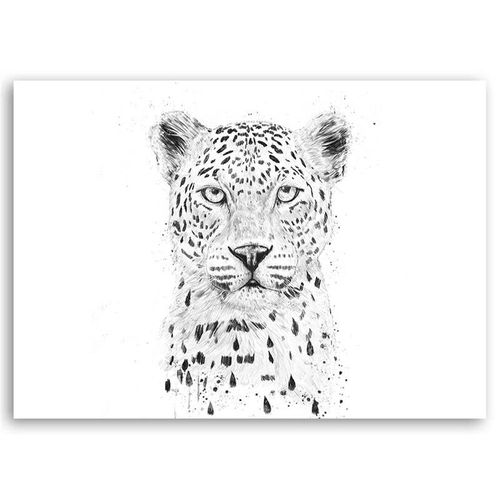 Deco Panel, Leopard na białym tle 60x40 na Arena.pl