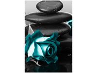 OBRAZ RÓŻE TLE KAMIENI AKCENT KOLORYSTYCZNY