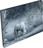 OBRAZ do pokoju salonu koniki konie jednorożec