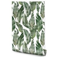 Tapeta Do Jadalni Duże Liście BANANOWE Natura Rośliny Minimalizm