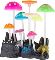 dekoracja ozdoba do akwarium rośliny grzyby